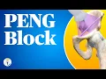 Ultrasound-Guided PENG Block Anatomy Sonoanatomy Technique