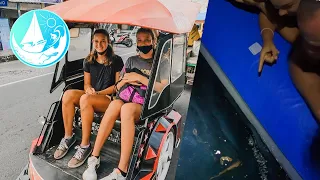 Weird creatures at night and we take you shopping in Tobelo | Episode 279