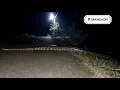 Download Lagu Anaconda🐍 from mangaon Maharashtra