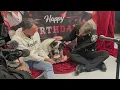 Puppy Pawty - Macomb County Animal Control