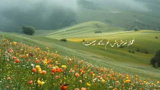                             شجریان   باده و بهار دندنها