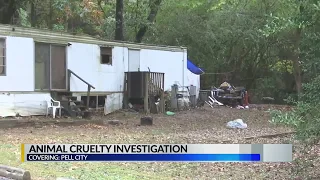 Over 50 animals found in Pell City home wife husband arrested