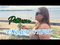 Download Lagu ENGGAI SIBUK -PETTRISIA (MV OFFICIAL)#laguviral 