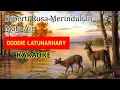 Download Lagu Seperti Rusa Merindukan Mata Air - Doddie Latuharhary || VIDEO KARAOKE Lagu Rohani || Pantekosta