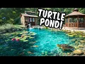 He Waited 23 YEARS for This Pond Now It Has TURTLES a Water Whee