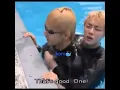 taejin vs jinkook 🐯🐹🐰kiss and piggyback#jinkook #kookjin #taejin #vjin #bts #short
