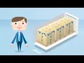 Knowing the reefer Maersk Line