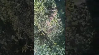 Home Towr  Home Towr