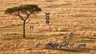 de mogul sa bokone original mix 