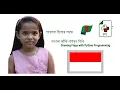Drawing the Flag of Indonesia with Python - TalhaTraining