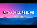Lagu 🎵 If You Still Feel Me – A Song About Lingering Love