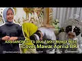 Lagu Assijancingetta (Dua Takke Bunga Rosi) - Cipt. H. Mustafa Bande Cover Mawar Aprilia BR