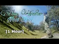 Download Lagu Alan Walker - New Day [1 Hour]