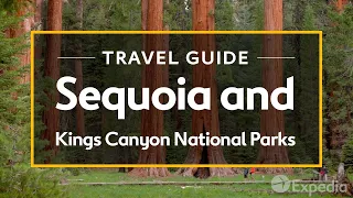 Discover the HIDDEN GEMS of Sequoia and Kings Canyon National Parks Travel Guide