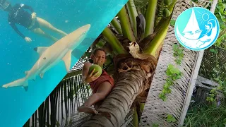 Island life Living on a boat | Wayag Raja Ampat Episode 262 | Sailing Catalpa