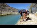 Warm Springs Nevada