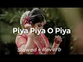 Download Lagu Piya Piya O Piya Song | Jane Tamanna | Udit Narayan, Ranjana J | Piya Piya O Piya Slowed And Reverb