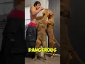 Download Lagu Pitbull 🆚 presa canario who is Most Dangerous😱🐕‍🦺#pitbull #viralshorts