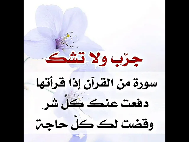 ⁣جرّب ولا تشك