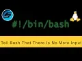 Tell Bash That There Is No More Input ctrl d - Bash Scripting