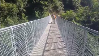                     دندنها