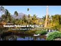 Download Lagu SUASANA PEDESAAN  DI PAGI HARI | SUARA RELAKSASI | PERPADUAN SUARA BURUNG DAN SUARA AIR