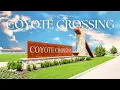 Coyote Crossing Godley TX New Homes in DFW Bloomfield Homes