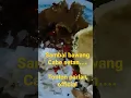 Download Lagu sambal bawang cabe DEMIT... Tonton parlan official. bantu subscribe