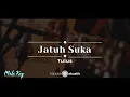 Download Lagu Jatuh Suka – Tulus (KARAOKE AKUSTIK - MALE KEY)