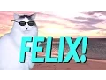 HAPPY BIRTHDAY FELIX! - EPIC CAT Happy Birthday Song