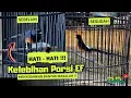 Download Lagu Ciri-Ciri ‼️  MURAI BATU KELEBIHAN PORSI EF.