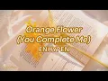 Lagu Orange Flower (You Complete Me) - ENHYPEN ( English lyrics/ 가사 )