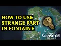 How to Use Strange Part Fontaine Genshin Impact