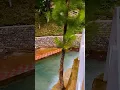 Download Lagu #pineviewcity#travel #foryou #nature #trending #song #music# india#britishcolumbia #filmi#mountains