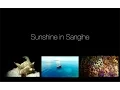 Download Lagu 4K Sunshine in Sangihe