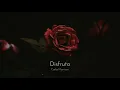 Download Lagu Carla Morrison - Disfruto (Letra en Español \u0026 English Translation)