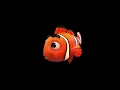 Download Lagu Clown Fish