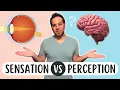 Seeing Isn t Believing Sensation vs Perception