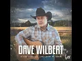 If You Ever Feel Like Lovin' Me Again - Dave Wilbert