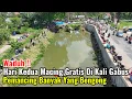 Download Lagu Waduh‼️Hari Kedua Mancing Gratis Di Kali Gabus Pemancing Banyak Yang Bengong