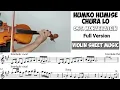 Download Lagu Humko Humise Chura Lo - Ost. Mohabbatein || Violin Sheet Music