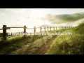 15 MINUTES Relaxation Music Break: Meditation Songs for Daily Reflection