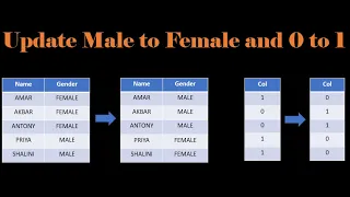 Update Male to Female in SQL - Update O to 1 in SQL