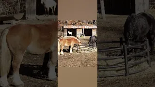 Clancy And Friends NOV 23 