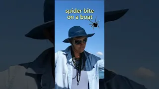 Spiders on a Boat 🕷️ #shorts #travel #sailingadventures