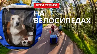 Тестируем коляску для корги Бентли и  велосцепку для Роберта