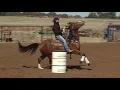 Molly-3 - Leaving The Barrel Wide