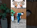 BACK PAIN RELIEF EXERCISES DO IT NOW