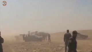 حسن العامري 