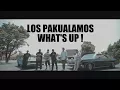 Download Lagu LOS PAKUALAMOS - What's Up !  